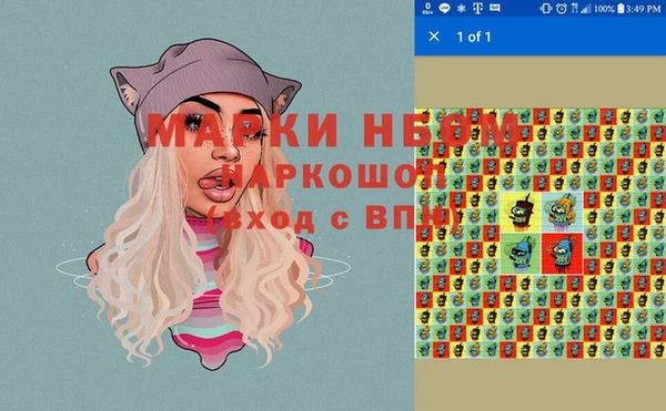 крисы Каменка
