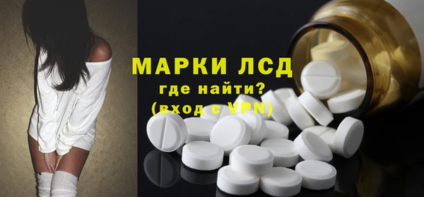 крисы Каменка