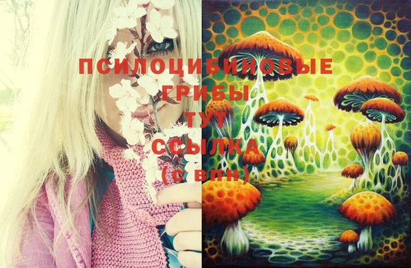 мефедрон мука Инта