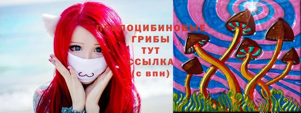 PSILOCYBIN Иннополис