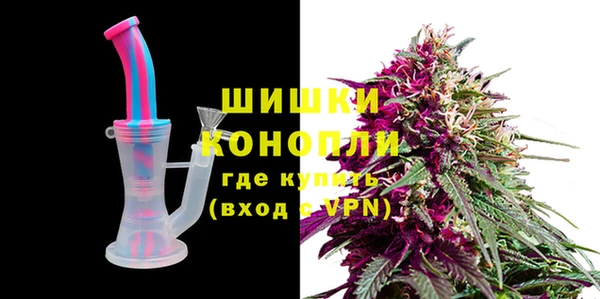 крисы Каменка